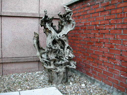 396254 (a): :1024x768